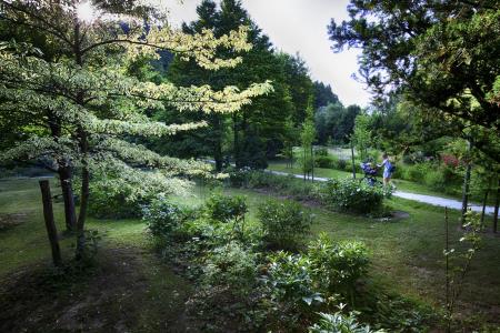 IBON7138_HDR